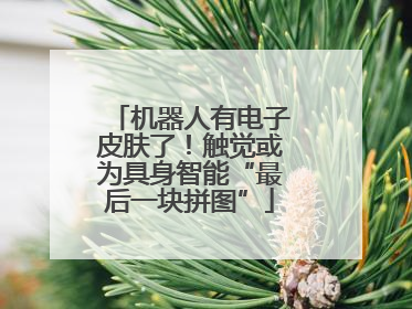 机器人有电子皮肤了！触觉或为具身智能“最后一块拼图”