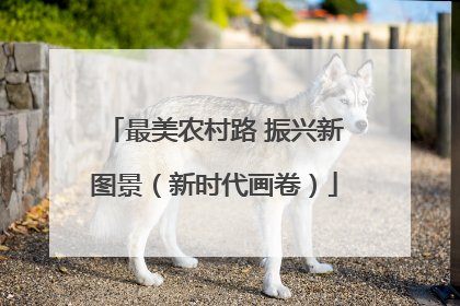 最美农村路 振兴新图景（新时代画卷）