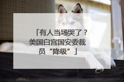 有人当场哭了？美国白宫国安委裁员“降级”