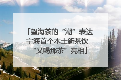 望海茶的“潮”表达 宁海首个本土新茶饮“又喝那茶”亮相