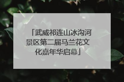 武威祁连山冰沟河景区第二届马兰花文化嘉年华启幕