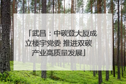 武昌：中碳登大厦成立楼宇党委 推进双碳产业高质量发展