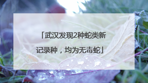武汉发现2种蛇类新记录种，均为无毒蛇