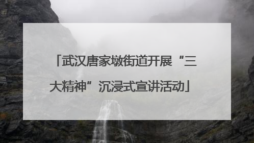 武汉唐家墩街道开展“三大精神”沉浸式宣讲活动