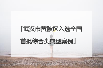 武汉市黄陂区入选全国首批综合类典型案例