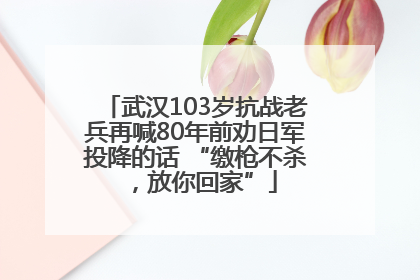 武汉103岁抗战老兵再喊80年前劝日军投降的话 “缴枪不杀，放你回家”