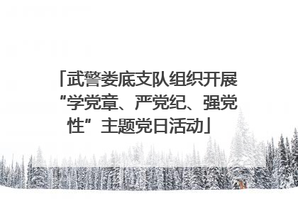 武警娄底支队组织开展“学党章、严党纪、强党性”主题党日活动