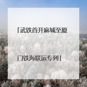 武铁首开麻城至厦门铁海联运专列