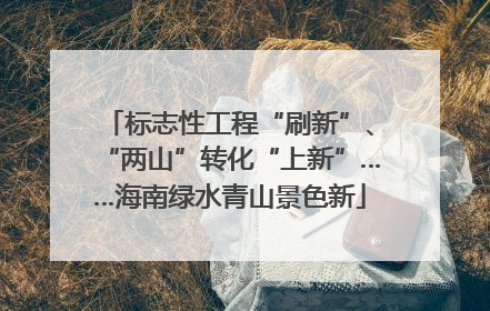 标志性工程“刷新”、“两山”转化“上新”……海南绿水青山景色新