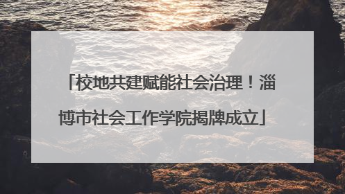 校地共建赋能社会治理！淄博市社会工作学院揭牌成立