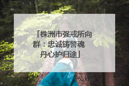 株洲市强戒所向群：忠诚铸警魂 丹心护归途