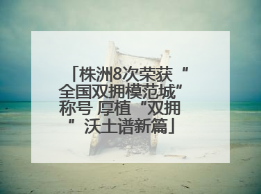株洲8次荣获“全国双拥模范城”称号 厚植“双拥”沃土谱新篇