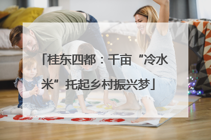 桂东四都：千亩“冷水米”托起乡村振兴梦