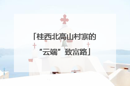 桂西北高山村寨的“云端”致富路