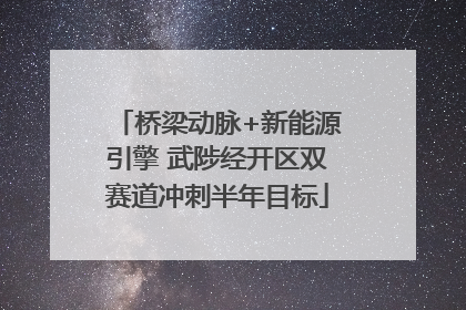 桥梁动脉+新能源引擎 武陟经开区双赛道冲刺半年目标