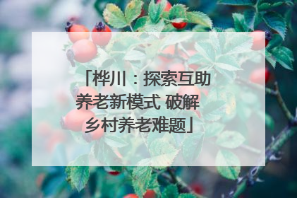 桦川：探索互助养老新模式 破解乡村养老难题