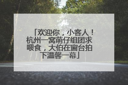 欢迎你，小客人！杭州一窝萌仔组团求喂食，大伯在窗台拍下温馨一幕