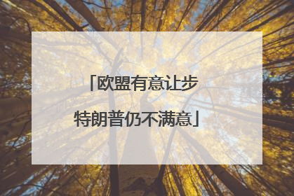 欧盟有意让步 特朗普仍不满意