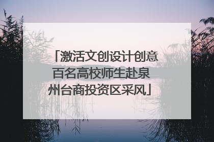 激活文创设计创意 百名高校师生赴泉州台商投资区采风
