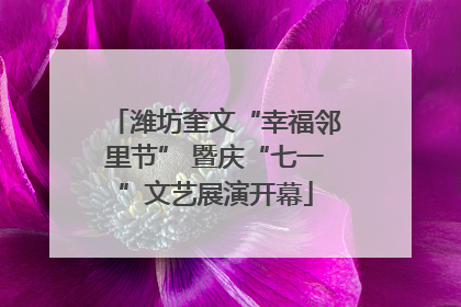 潍坊奎文“幸福邻里节” 暨庆“七一”文艺展演开幕
