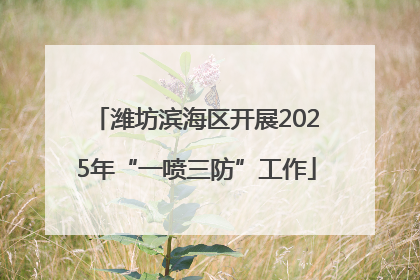 潍坊滨海区开展2025年“一喷三防”工作