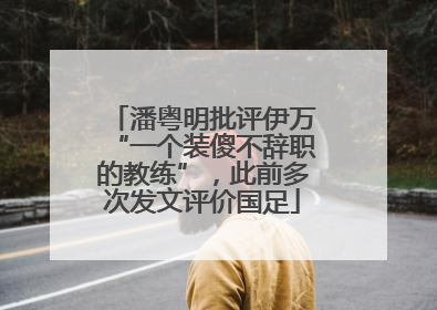潘粤明批评伊万“一个装傻不辞职的教练”，此前多次发文评价国足