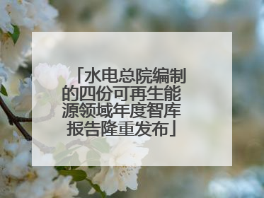水电总院编制的四份可再生能源领域年度智库报告隆重发布