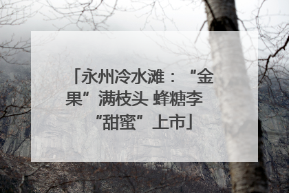永州冷水滩：“金果”满枝头 蜂糖李“甜蜜”上市