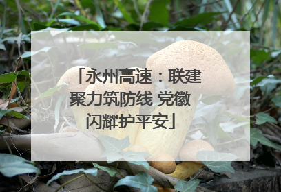 永州高速：联建聚力筑防线 党徽闪耀护平安