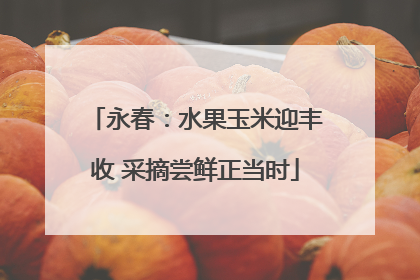永春：水果玉米迎丰收 采摘尝鲜正当时