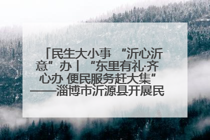 民生大小事 “沂心沂意”办丨“东里有礼·齐心办 便民服务赶大集”——淄博市沂源县开展民生政策宣传活动