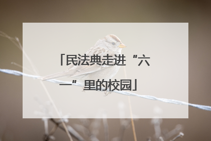 民法典走进“六一”里的校园