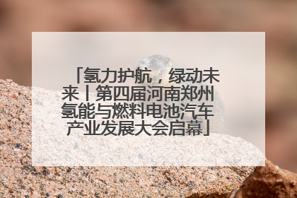 氢力护航，绿动未来丨第四届河南郑州氢能与燃料电池汽车产业发展大会启幕
