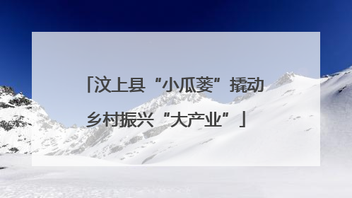 汶上县“小瓜蒌”撬动乡村振兴“大产业”