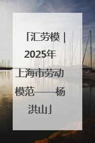 汇劳模｜2025年上海市劳动模范——杨洪山