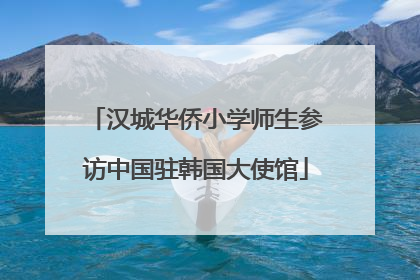 汉城华侨小学师生参访中国驻韩国大使馆