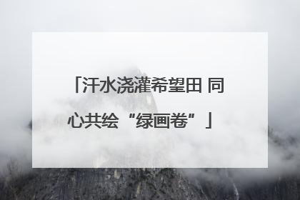 汗水浇灌希望田 同心共绘“绿画卷”