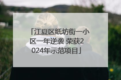 江夏区纸坊街一小区一年逆袭 荣获2024年示范项目