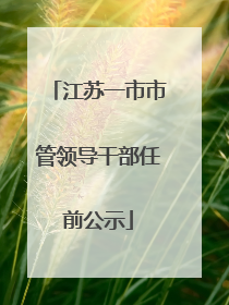 江苏一市市管领导干部任前公示
