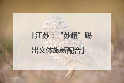 江苏：“苏超”踢出文体旅新配合