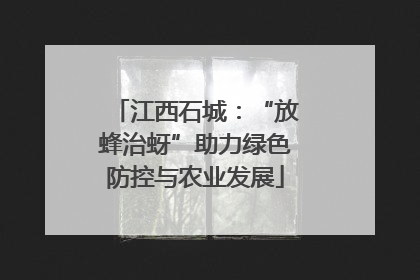 江西石城：“放蜂治蚜”助力绿色防控与农业发展