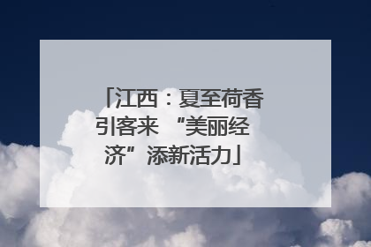 江西：夏至荷香引客来 “美丽经济”添新活力