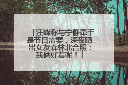 汪峰称与宁静牵手是节目需要，深夜晒出女友森林北合照：我俩好着呢！