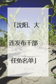 沈阳、大连发布干部任免名单