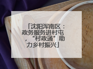 沈阳浑南区：政务服务进村屯，“村政通”助力乡村振兴