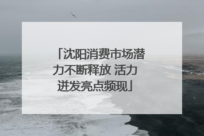 沈阳消费市场潜力不断释放 活力迸发亮点频现