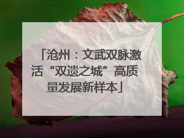 沧州：文武双脉激活“双遗之城”高质量发展新样本