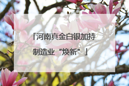 河南真金白银加持制造业“焕新”