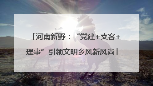 河南新野：“党建+支客+理事”引领文明乡风新风尚