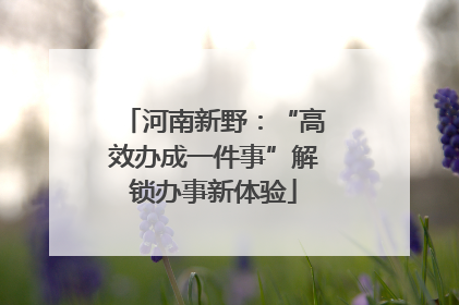 河南新野：“高效办成一件事”解锁办事新体验